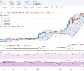 USDT刷新年度新高，走高幅高达337%，还还来得及吗？的简单介绍-开云中国体育网页版登录