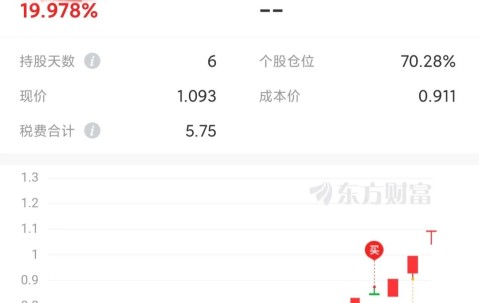 TRON冲破SHIB美元大关，牛市是否已来临？-开云中国体育网页版登录
