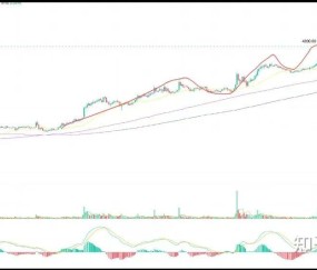 关于专家称TON将在年底冲破472美元，引发引发关注，引爆行情的信息-开云体育网页版登录入口