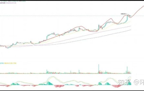 关于专家称TON将在年底冲破472美元，引发引发关注，引爆行情的信息-开云体育网页版登录入口
