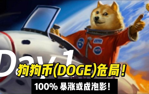 狗狗币紧急遇到安全漏洞，损失高至19.55万美元-kaiyun网页版平台